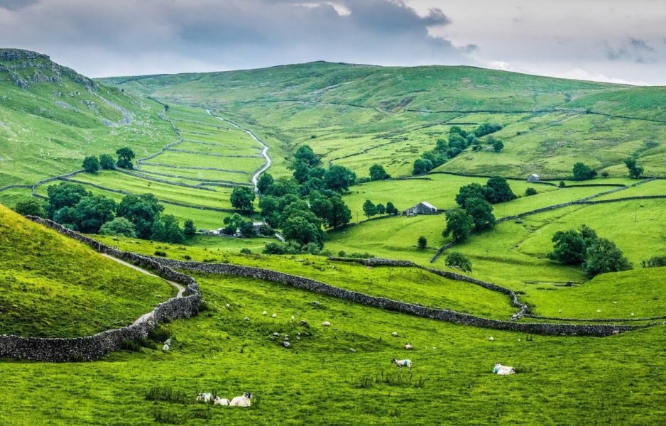 bla_bidza's tweet photo. Dear @Hon_Kasukuwere and your folks, this is rural England. Most people (84.4%) live in the cities. More sheep in the rural than people. And isolated homes and farms

Economics become more efficient with urbanised populations and urbanisation should be driven by industrialisation https://t.co/7VNJxwblwR