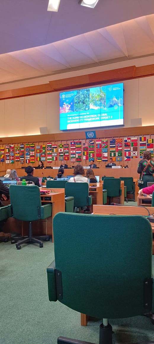 🌍CBD Women's Caucus is attending the workshop on Developing a roadmap for the Kunming-Montreal Global #BiodiversityFramework Target 2 currently in Rome, Italy🙌 More updates to follow. #genderisabiodiversityissue