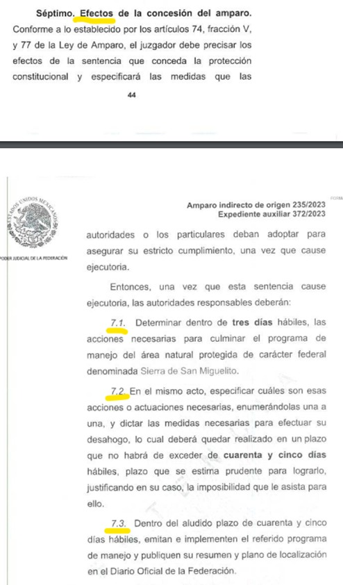 luisglozano's tweet photo. 🌿🏛️ Victoria legal para el medio ambiente: Cambio de Ruta logra sentencia favorable en la protección de la Sierra de San Miguelito. El juzgado ordena la implementación inmediata del programa de manejo del área natural protegida, marcando un hito en la conservación de nuestro patrimonio natural en San Luis Potosí. 🌱🌎

Instamos al gobierno de @lopezobrador_ a respetar esta decisión y evitar retrasos en la preservación de este ecosistema vital. Una impugnación sería un retroceso en nuestro compromiso ambiental. Pedimos al gobernador @RGC_Mx demuestre su congruencia, pidiendo al Gobierno Federal cumpla con la sentencia de forma puntual¡¡¡

Seguimos luchando por un desarrollo sostenible y el cuidado de nuestros recursos naturales. 💚🇲🇽 

#ProtecciónSierraSanMiguelito #MedioAmbiente #JusticiaAmbiental #CambiarelpresenteparaReverdecerelFuturo