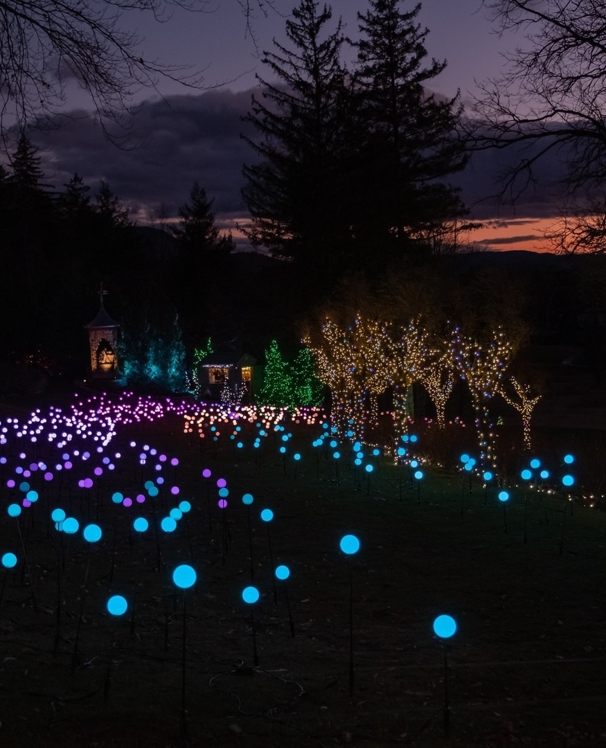 Visit Massachusetts (@visitma) on Twitter photo Winterlights is back! ❄️🥳 Head to <a href="/TheTrustees/">The Trustees</a> locations across MA for a festive evening this season 🎄
🎟️ Grab your tickets TheTrustees.org
📸 IG: davidedgecomb, thetrustees Winterlights is back! ❄️🥳 Head to <a href="/TheTrustees/">The Trustees</a> locations across MA for a festive evening this season 🎄
🎟️ Grab your tickets TheTrustees.org
📸 IG: davidedgecomb, thetrustees