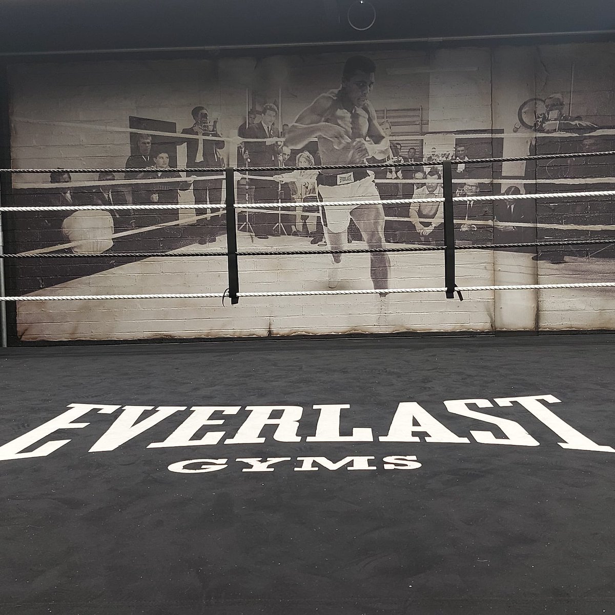 Members of the boxing section trained this morning at theEverlast gym at metro. Thank you for supporting the team and having us at your facility 🐸🥊🚒
