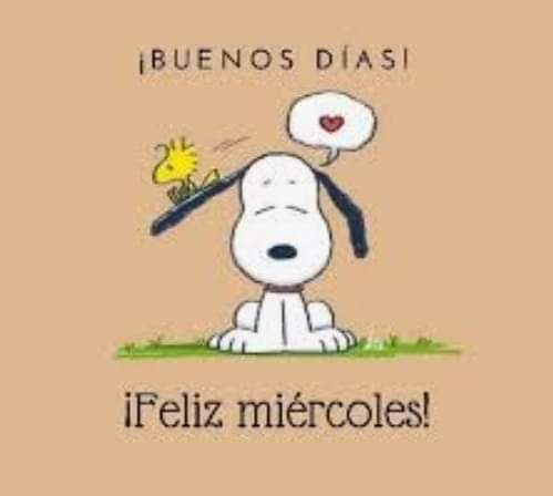 Buenos días 🌻☀️🌅🌸🌼🌺🌄☀️🔆🌹