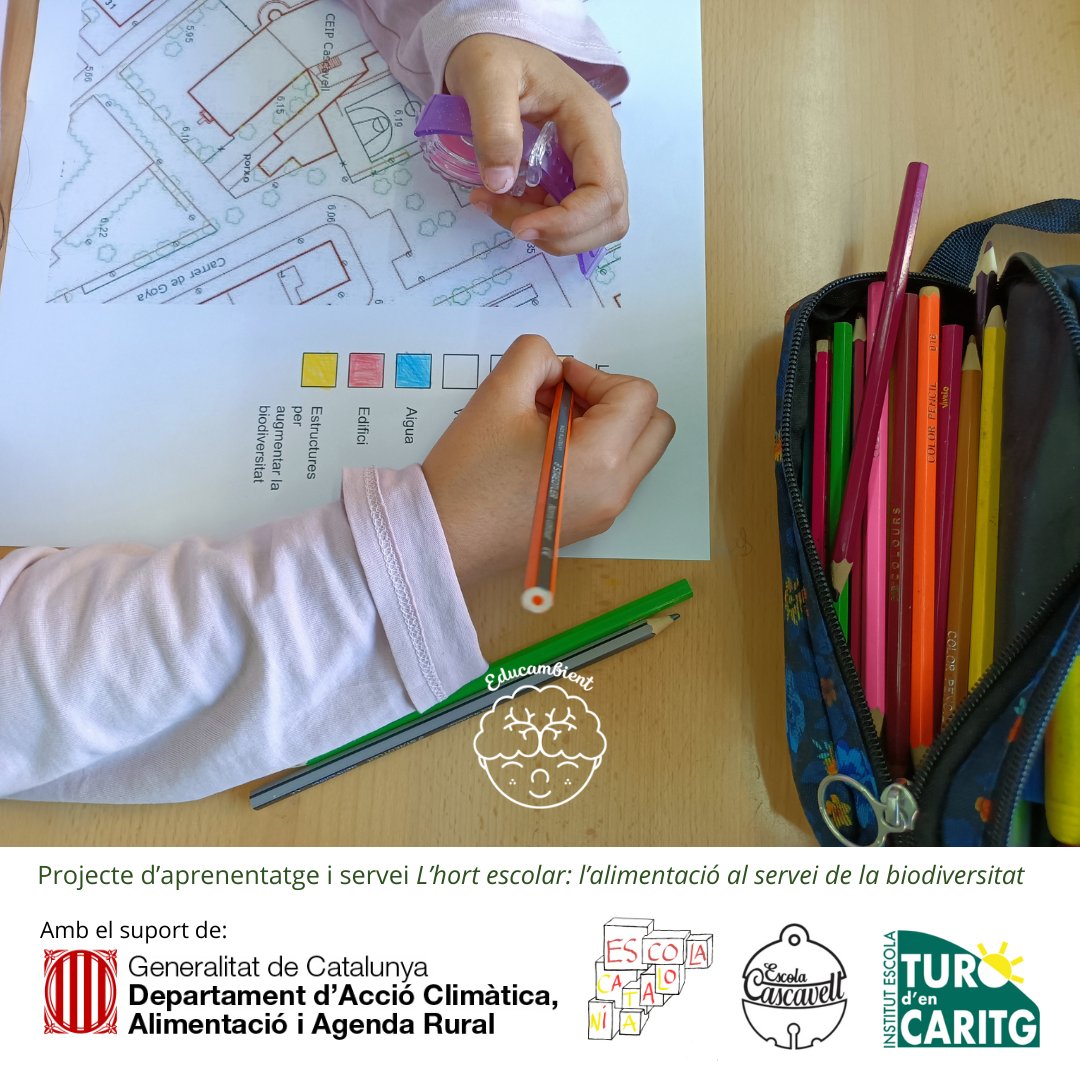 Educambient_'s tweet photo. Aquest curs hem iniciat el Projecte d'Aprenentatge i Servei "L'hort escolar: l'alimentació al servei de la biodiversitat" a @EscolaCatalonia @ECascavell @ieturodencaritg 

#ajutstsacat #apsambiental #entitatsambientals #educambient #educacioambiental #hortescolar @accioclimatica https://t.co/HwjVz1iFOn