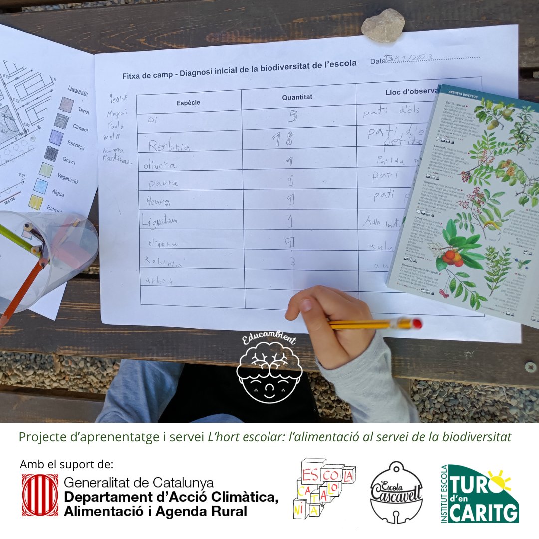 Educambient_'s tweet photo. Aquest curs hem iniciat el Projecte d'Aprenentatge i Servei "L'hort escolar: l'alimentació al servei de la biodiversitat" a @EscolaCatalonia @ECascavell @ieturodencaritg 

#ajutstsacat #apsambiental #entitatsambientals #educambient #educacioambiental #hortescolar @accioclimatica https://t.co/HwjVz1iFOn