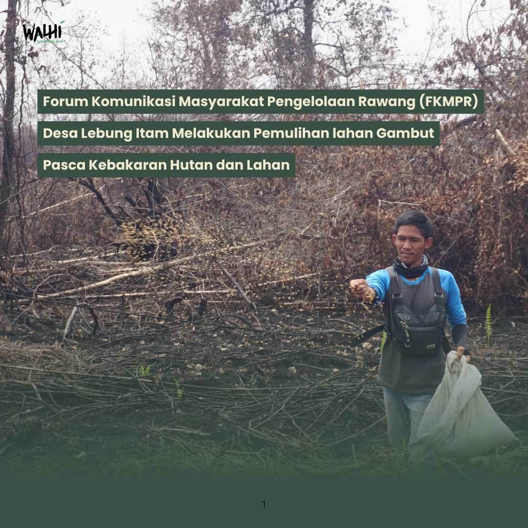 WALHI SUMSEL tweet media