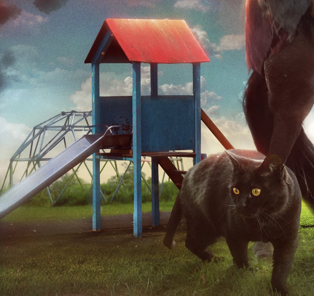 Happy almost #DoctorWho day folks! Who'd like to see something I've been working on this evening? 👀 🐈‍⬛🐆 #DoctorWho60