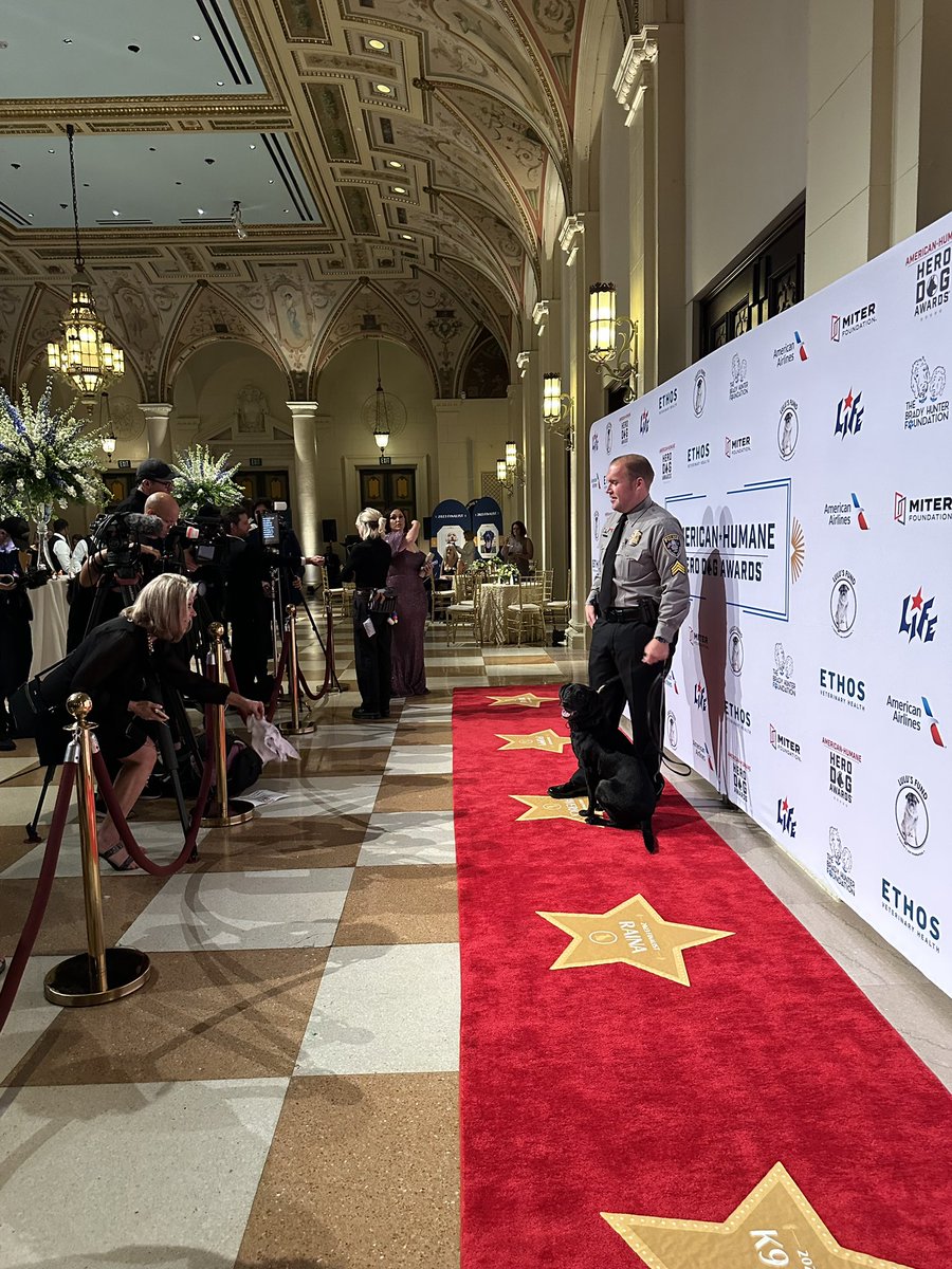 She’s famous! Get her autograph. 😉

K-9 Poppy is the 2023 American Humane Law Enforcement and First Responder Dog of the Year! 

Catch her and the other Hero Dog finalists on TV tomorrow:
Thursday, November 23, on fyi at 8 p.m. and Sunday, November 26, on A&amp;E at 1 p.m. 🐾
