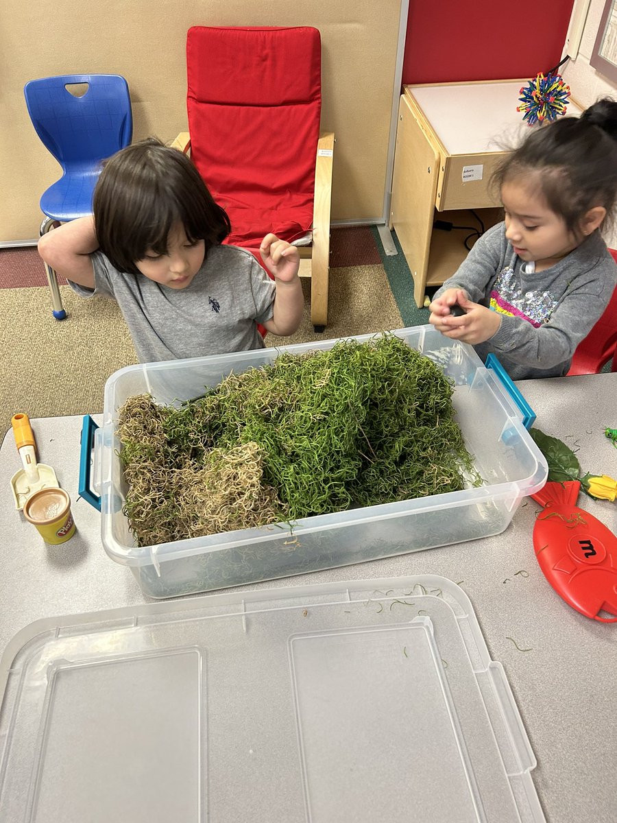 MissEricaTeach's tweet photo. Room One tried something new this week! We added a fine motor and a sensory center during our morning program time. Thank you to my TA’s for helping our students make this transition successful! https://t.co/aQoKTDAfBe