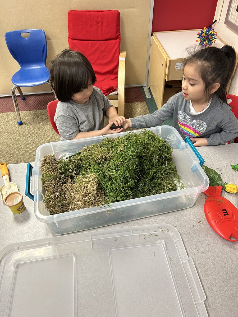 MissEricaTeach's tweet photo. Room One tried something new this week! We added a fine motor and a sensory center during our morning program time. Thank you to my TA’s for helping our students make this transition successful! https://t.co/aQoKTDAfBe