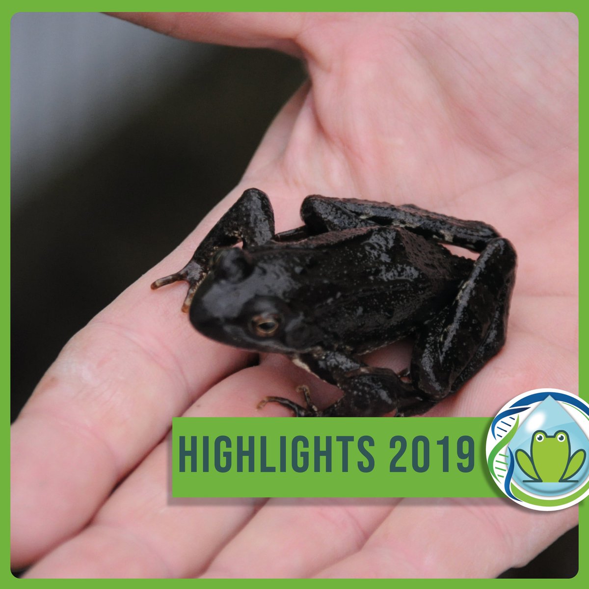 Highlights aus 2019.

2019 erhielten wir nicht nur viel mediale #Unterstützung, sondern sammelten auch wichtige Daten für die Artenvielfalt.
Unsere #CitizenScientists waren mit Feuereifer mit dabei - von Klein bis Groß.
Nun gibts uns auch in ganz #Österreich!