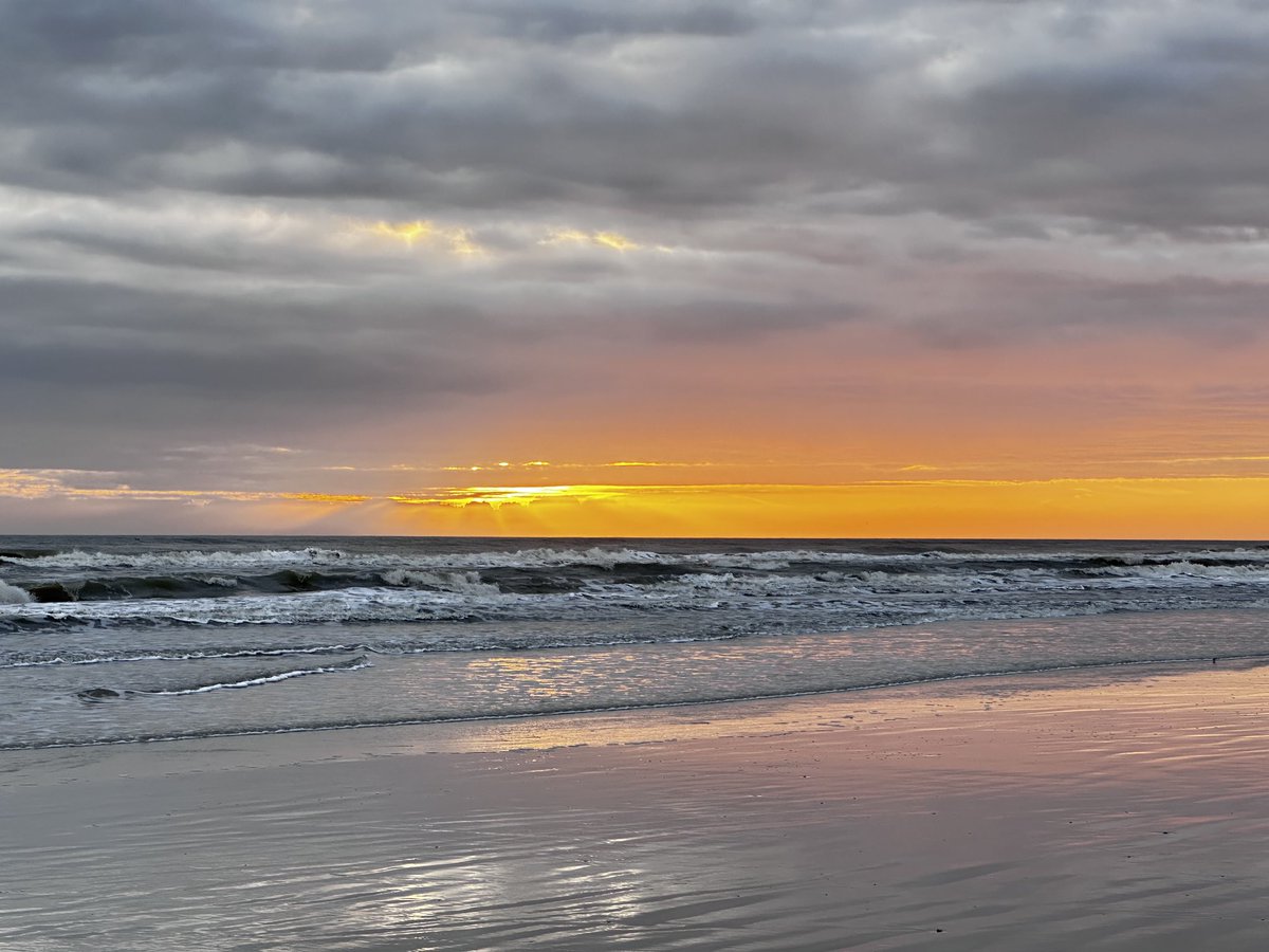BK917's tweet photo. ⁦@JaymeKingFox35⁩ #snapthesun #nsb https://t.co/W1iPbSA3YG