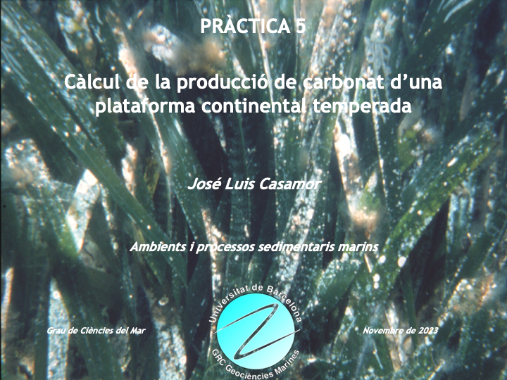 batidivulga's tweet photo. Avui seguim parlant, al grau de #CiènciesdelMar de @UniBarcelona, de les algues, fanerògames marines com la #Posidonia i d'altres "productors" de sediment a plataformes carbonatades com la del marge balear.
Deprès direu que als geòlegs només ens agraden els fòssils!! #geobio https://t.co/zvP5egRega