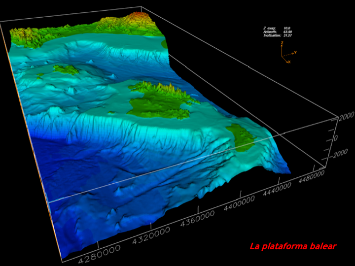 batidivulga's tweet photo. Avui seguim parlant, al grau de #CiènciesdelMar de @UniBarcelona, de les algues, fanerògames marines com la #Posidonia i d'altres "productors" de sediment a plataformes carbonatades com la del marge balear.
Deprès direu que als geòlegs només ens agraden els fòssils!! #geobio https://t.co/zvP5egRega