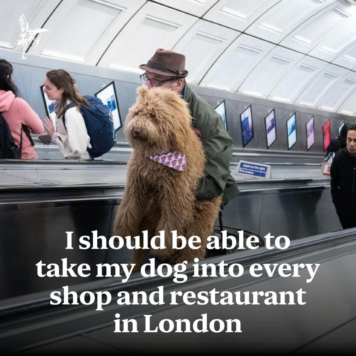 Standard News tweet media