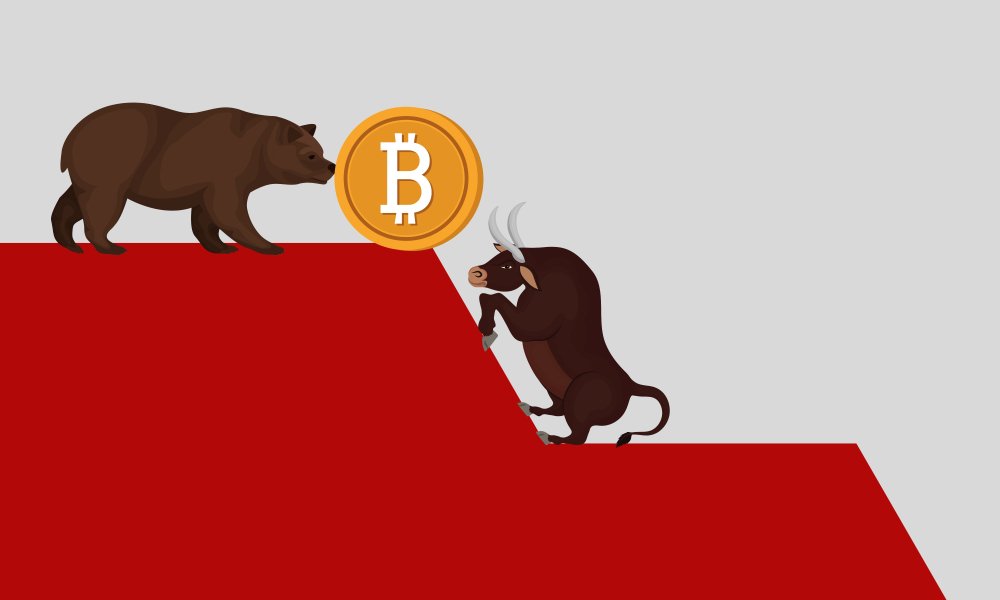lee71004879's tweet photo. BTC 20.000$ Soon
#BTC #HOLD#holdtodie #x1000GEM#cheo #cheouytin #LTC #bear #bull #babydoge #doge #BNB # bunny #bunnycrytop https://t.co/DMMlslC0bX