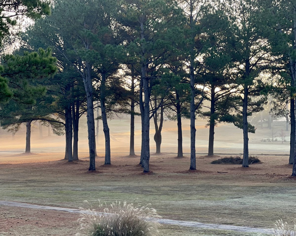 liveoaksgolf's tweet photo. Another beautiful morning here at #LiveOaksGolfClub … gonna warm up and be a fine day for some golf. Call our pro shop to make your #teetime 601-982-1231. #BestGreens #ColdestBeer https://t.co/bruMiNvacv
