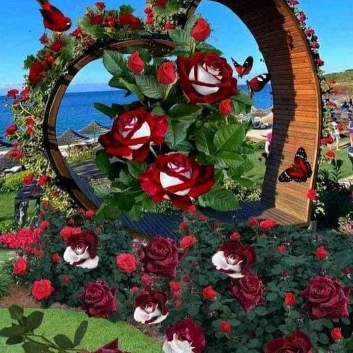 HashimS14927066's tweet photo. #NewProfilePic https://t.co/5GEbgRRitb