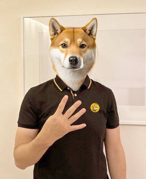bonk_inu's tweet photo. Hi @binance https://t.co/IK4xQUOOv4