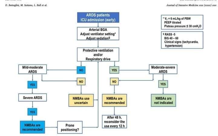 LeslieMegom's tweet photo. 🔟 reglas de oro ✨️para la ventilación mecánica individualizada en SDRA🫁
 deben minimizarse VT, Pplat, ΔP, PEEP y PaO2.
👇👇👇👇
 https: //www.sciencedirect.com/science/article/pii/S2667100X21000049 https://t.co/PoqVY3OqQL