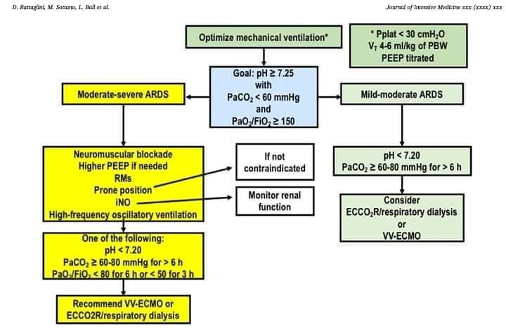 LeslieMegom's tweet photo. 🔟 reglas de oro ✨️para la ventilación mecánica individualizada en SDRA🫁
 deben minimizarse VT, Pplat, ΔP, PEEP y PaO2.
👇👇👇👇
 https: //www.sciencedirect.com/science/article/pii/S2667100X21000049 https://t.co/PoqVY3OqQL