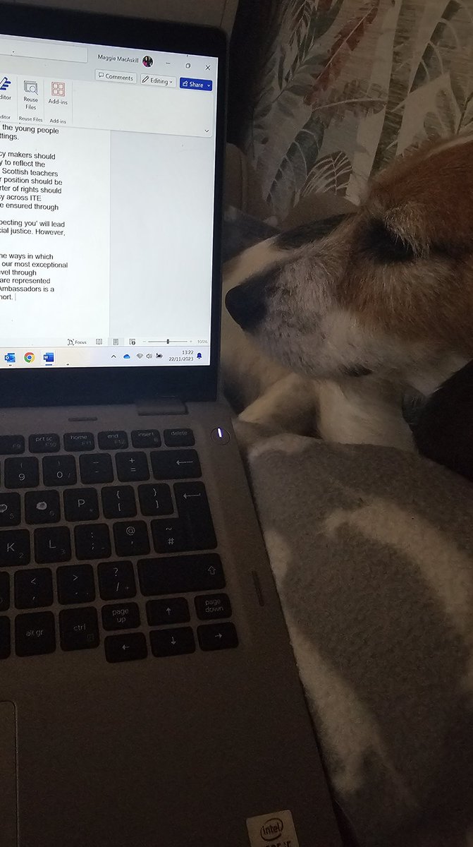George can't believe that by this time next week, Mummy will have delivered her first government research briefing. Neither can Mummy, who thinks she might send George instead as she's so nervous! Powering through nerves for our most underrepresented young people. 🤢😱@strathedu