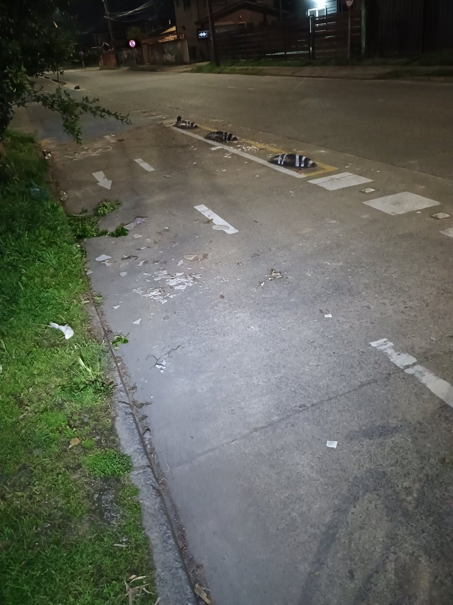 Enviado ésta mañana. Estado de la ciclovia de errazuriz con 5 de octubre.
#FiscalizacionCiudadana
#ValdiviaCL
#NoMasImpunidad
#RevolucionCiclistas
#ConvivenciaVial
<a href="/Carla_Amtmann/">Carla Amtmann Fecci</a>
<a href="/CarabLosRios/">Carabineros Región de Los Ríos</a>