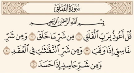 RvL 29 December (@tuddfn) on Twitter photo 