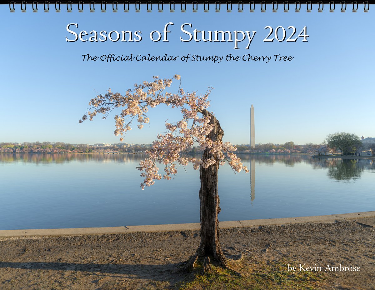 Kevin Ambrose tweet media