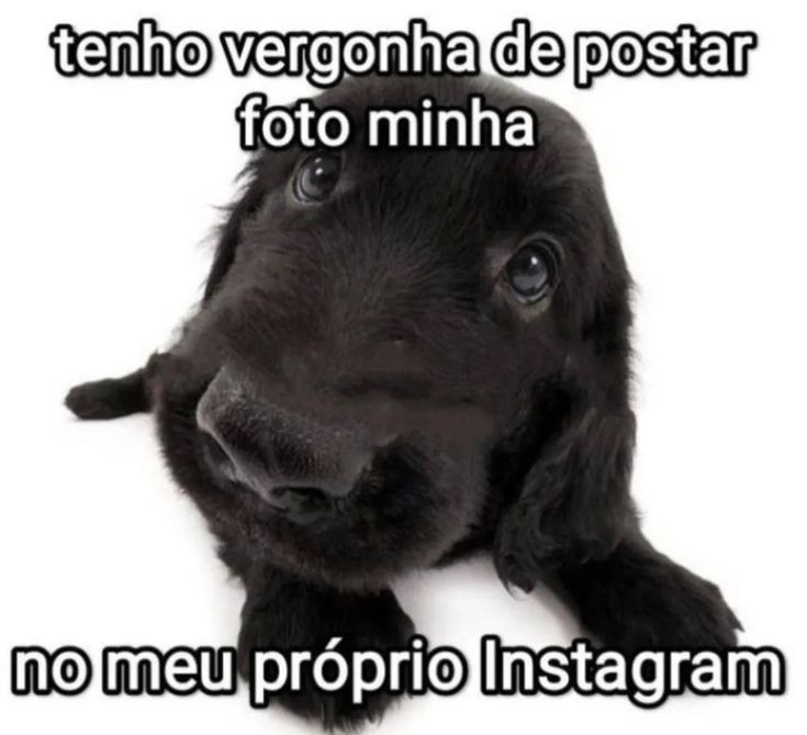 imacbdegen's tweet photo. https://t.co/eGFbCGHTiy