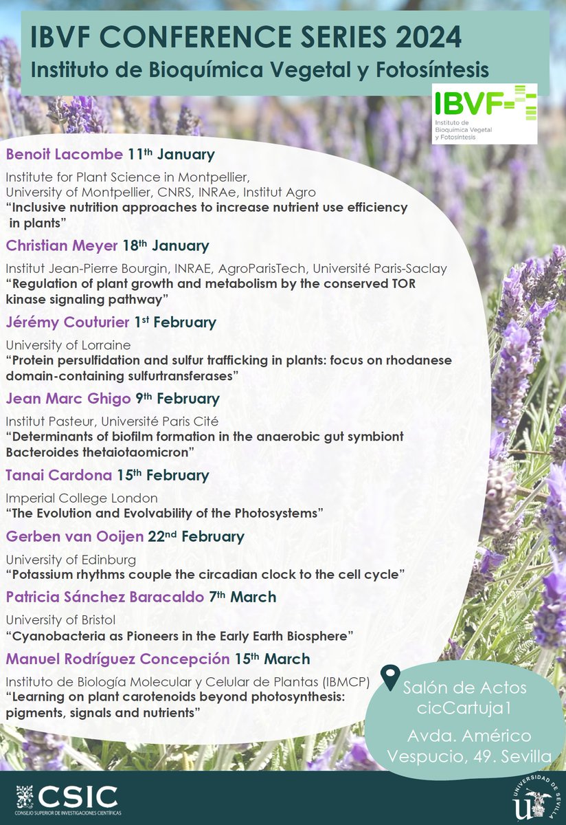 IBVF 2024 seminar series is live, save the dates