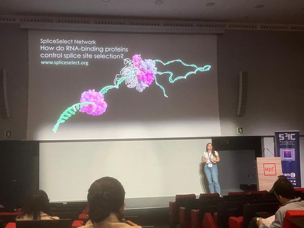 Marina Santana tweet media