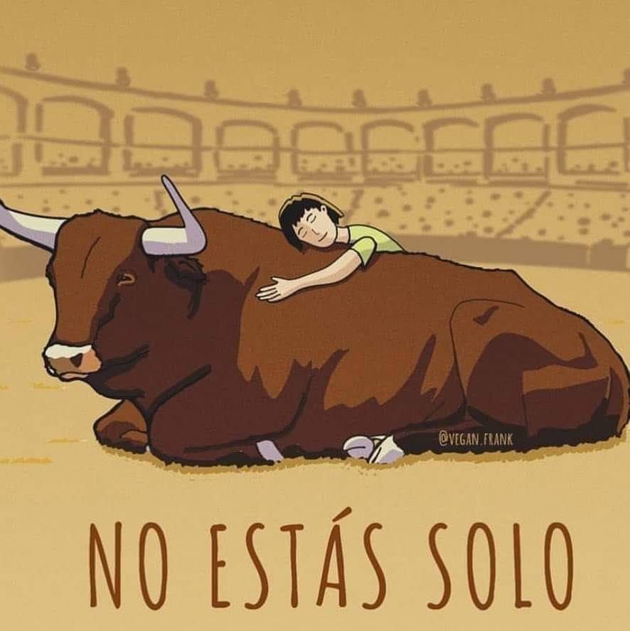 defensanimal's tweet photo. Unidos por una #ColombiaSinToreo

@COLSinToreo @ComVIcamara https://t.co/OdzxxMrOsW