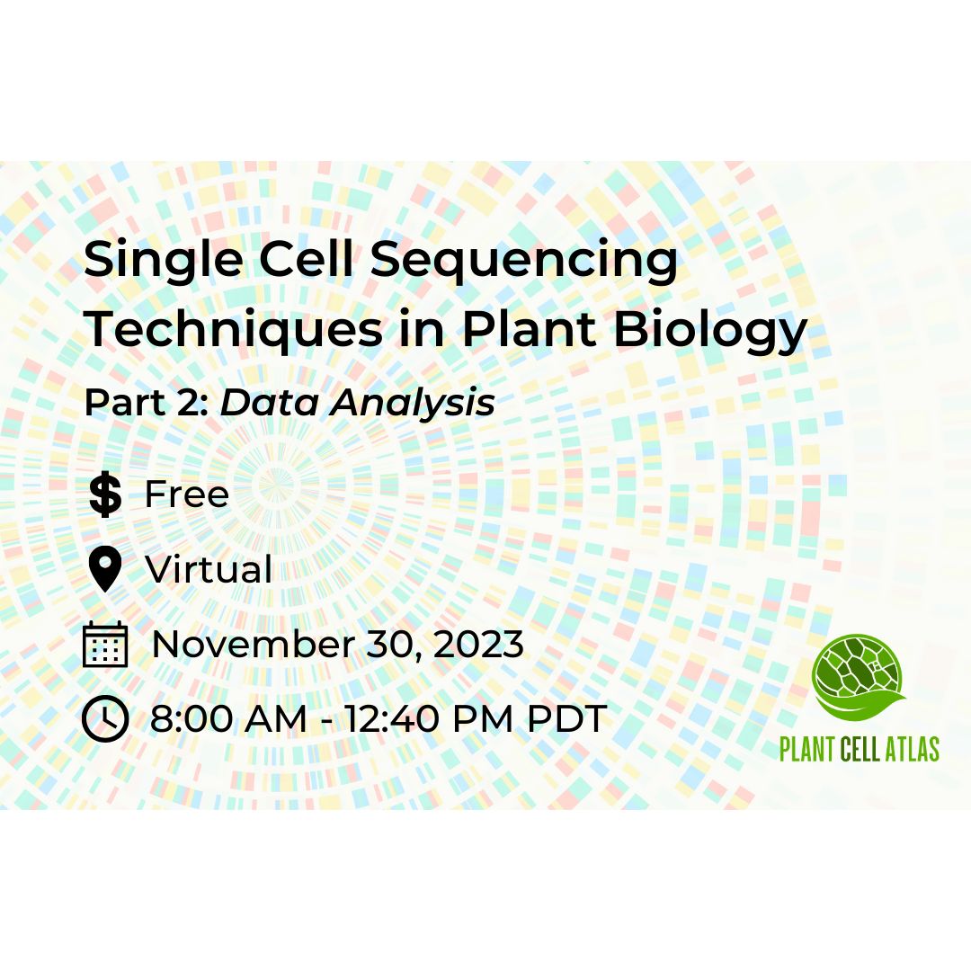 CellAtlas's tweet photo. Don’t forget to register for the 2nd workshop on single-cell sequencing techniques in plant biology! Registration is free and open to the public.
Register today at: https://t.co/OfPIKbqhWd
More Info: https://t.co/vZA1FXPlss https://t.co/mmUgz2M5Rn