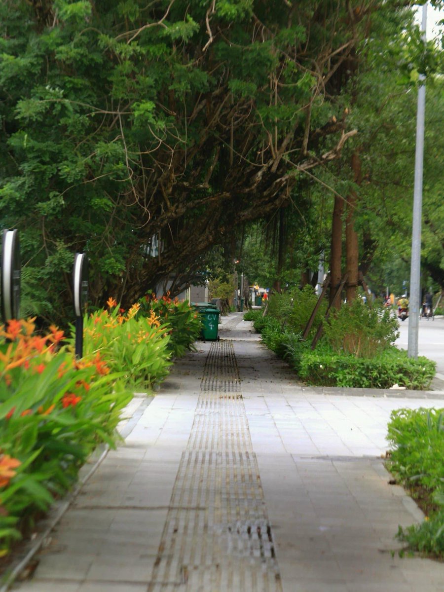 utdth1307's tweet photo. Hạnh phúc đôi khi đơn giản là có một công việc ổn định, tối về ăn món mình thích, mua một món đồ vừa vặn tiền vẫn còn dư, gặp được người muốn gặp, đến một nơi mình muốn. 

Vừa vặn bình yên... 🌿 https://t.co/kA7sCzGhAA