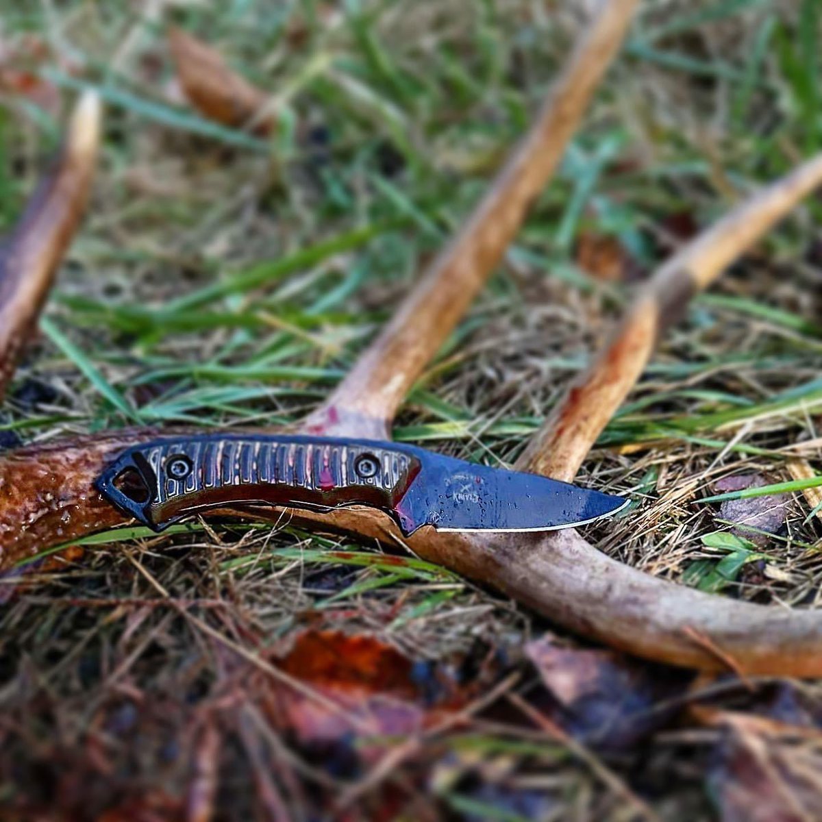 BondsCreekForge's tweet photo. Badger out in the wild ! 

Nitro V steel is a modified version of AEBL to increase edge retention.  High performance and reliability for YOU  is our goal. https://t.co/jKgUU1jyij