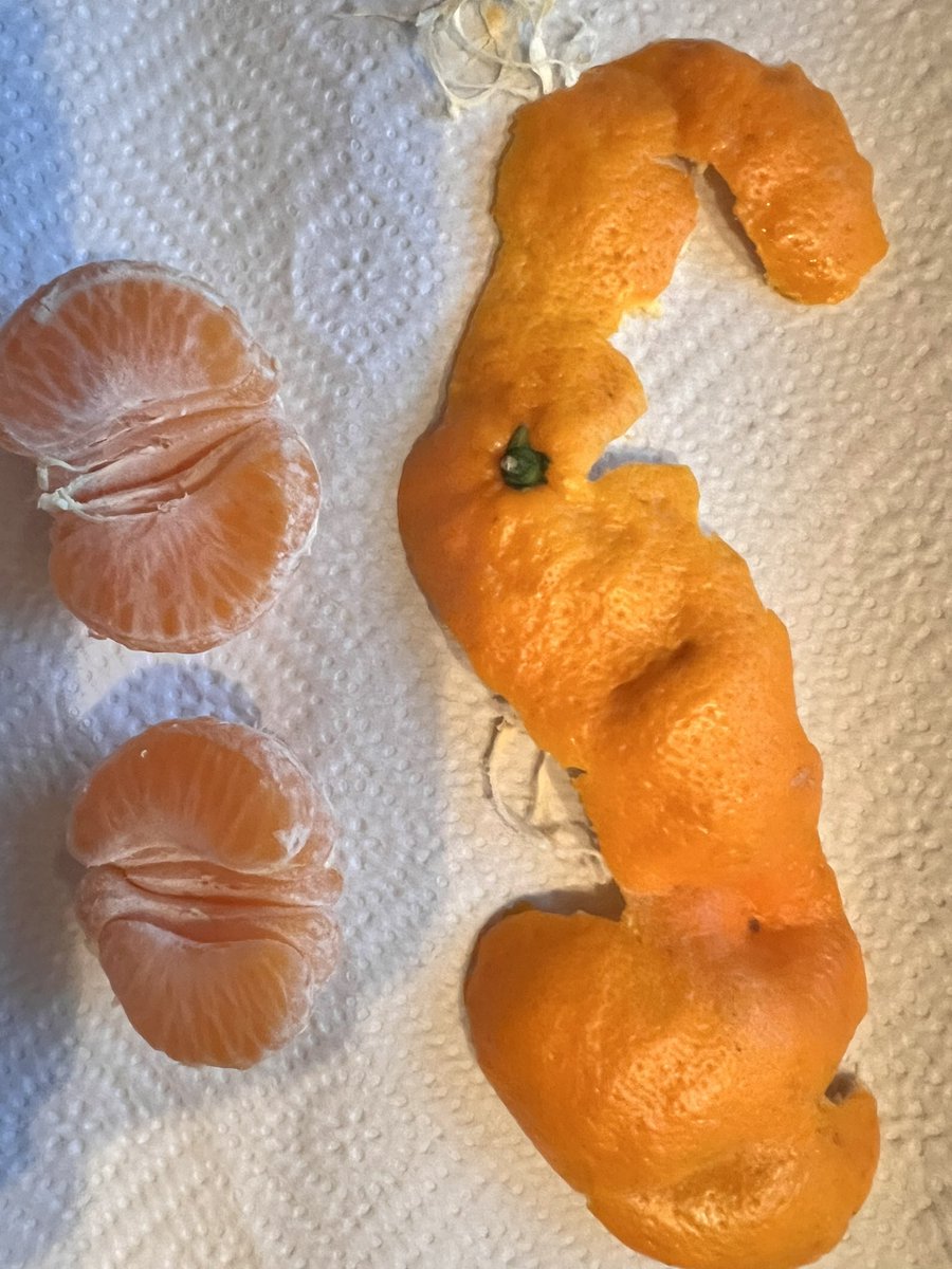 Always take the extra minute to UV unwrap your food if possible.
It's a nanite mesh so no comments on my seams layout!!! 
#3D #gamedev