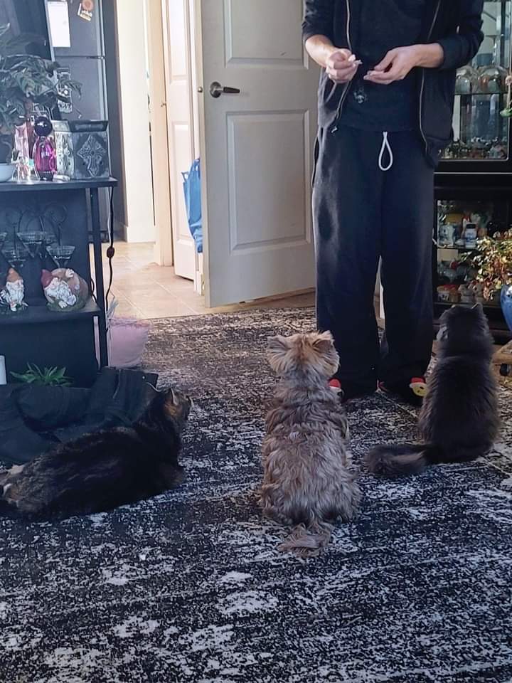 Olfustrcluck tweet media