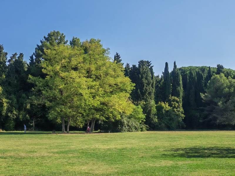 Confagricoltura's tweet photo. #Verde urbano: Sarà realizzato a #Pesaro il primo parco della salute certificato. Con la firma a Palazzo della Valle del protocollo d’intesa, al via i lavori nella Capitale della Cultura 2024
➡️https://t.co/NrdKwAQqrd
@Assoverde82 @comunepesaro #Kepos #Fondazionealberitalia https://t.co/Og5EgZg9Zp