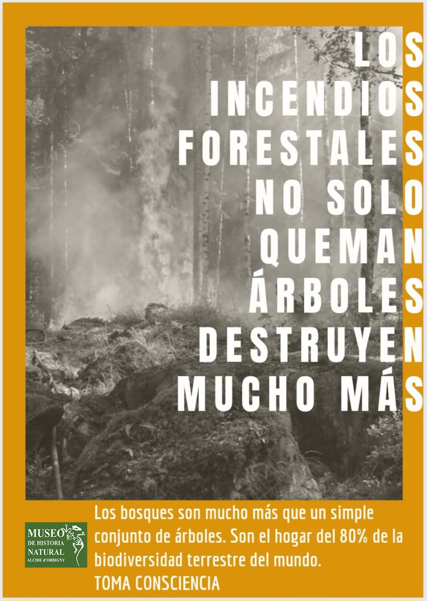 MuseodOrbigny's tweet photo. Evitemos el daño en la riqueza faunística y floral, tomemos consciencia de los efectos que produce la quema de nuestros bosques y del cambio climático, los suelos demoran años en recuperarse además de provocar desequilibrios en la naturaleza y la desaparición de varias especies. https://t.co/B4X6FidQFw