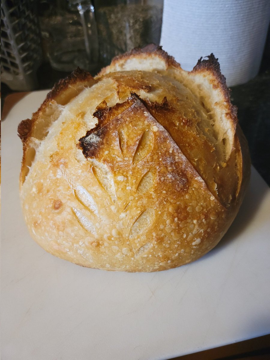 My first loaf, sourdough perfection.
