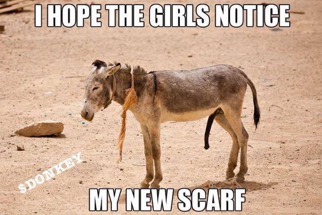 $DONKEY

TG: t.me/donkeyhung

#DonkeyBot
