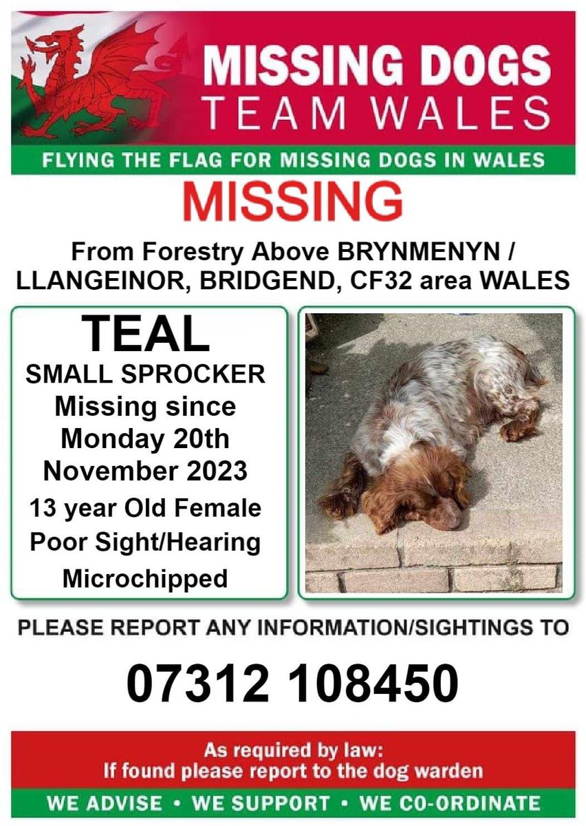 rosieDoc2's tweet photo. 13 YEAR OLD, POOR SIGHT/HEARING
MISSING from FORESTRY ABOVE #BRYNMENYN/ #LLANGEINOR, #BRIDGEND, #CF32 area #WALES
SINCE MONDAY 20/11/23
PLEASE LOOK OUT FOR TEAL AND CALL NUMBER WITH ANY SIGHTING/INFO TY
@FoxBrynmenyn @brynmenynschool @PVaulters @LlangeinorAFC @LlangeinorFC https://t.co/Vf9XDfaRBx