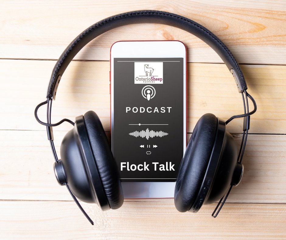 Ontario Sheep Farmers 'Flock Talk' is a weekly pod cast series bringing you ideas and insight from fellow producers, and industry experts covering research, marketing, education, news updates and more! For more information visit podcasters.spotify.com/pod/show/ontar… #Sheep