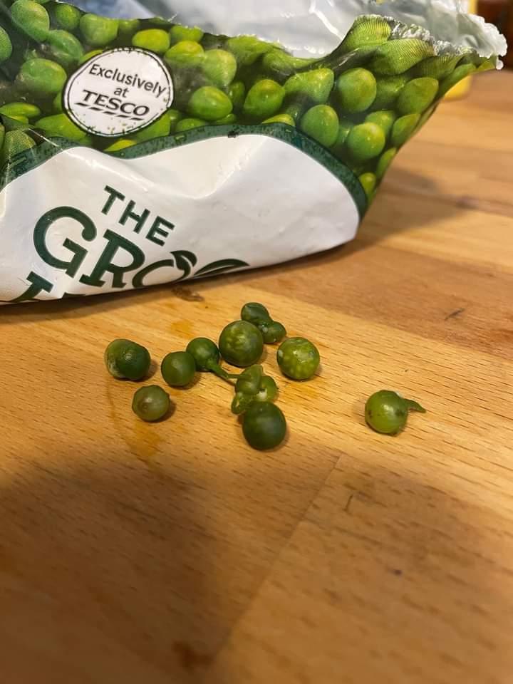 Hey <a href="/Tesco/">Tesco</a> how come these peas had nightshade berries in them? They need to be recalled ASAP! Someone could take ill quite seriously