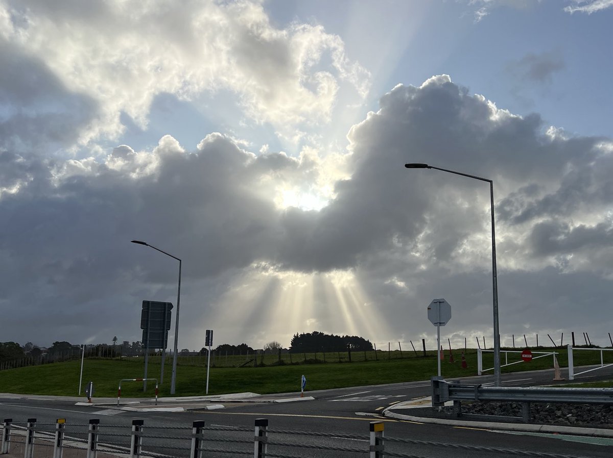 cinders23's tweet image. ⁦@ThePhotoHour⁩  Spotlight. Auckland, NZ. #themeoftheday