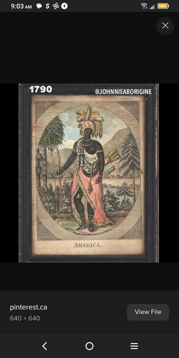 poetryizme4lyfe's tweet image. I am #CopperColored aka #ReddishBrown #Aboriginal from #Maya, which ended up in #NewYork!

I am not of the black aka negro race!