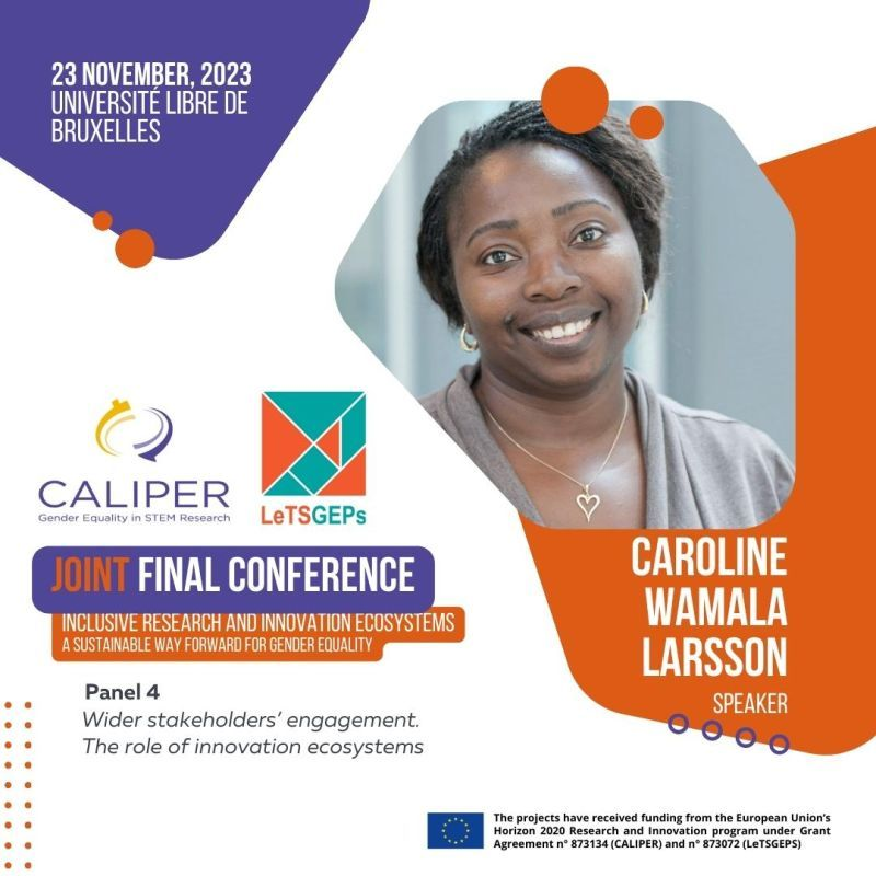 Tomorrow, at the final conference for @Equals_EU sister projects in Brussels, @C_WamalaLarsson will discuss inclusive innovation ecosystems. Don't miss out! #DigitalInclusion #diversityIsAnAsset #equalsEU