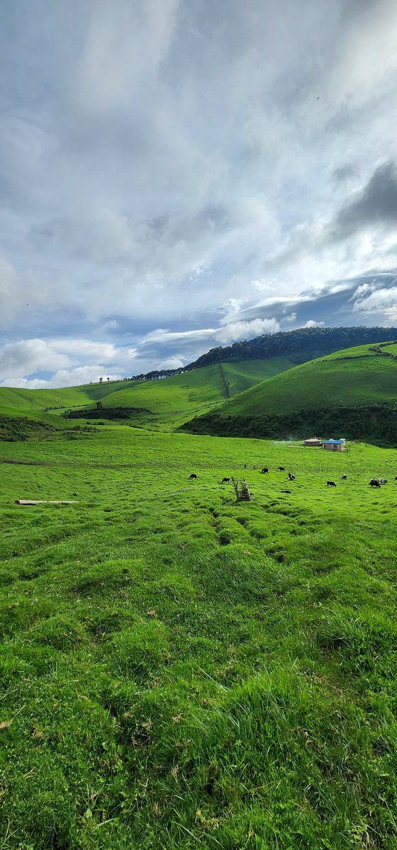 Ngabo_Karegeya's tweet photo. Dear friends from Twitter, please lend me your retweet and I will show the world how beautiful my village is. 

#VisitRwanda /Bigogwe 🇷🇼 https://t.co/a5uxhJ7Z6j