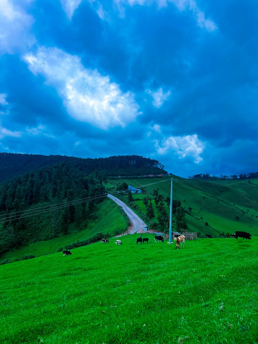 Ngabo_Karegeya's tweet photo. Dear friends from Twitter, please lend me your retweet and I will show the world how beautiful my village is. 

#VisitRwanda /Bigogwe 🇷🇼 https://t.co/a5uxhJ7Z6j