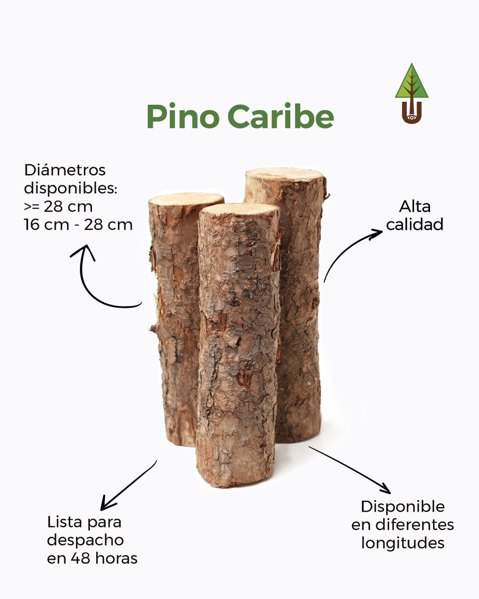 Nuestro grandioso #PinoCaribe está disponible en #MaderaRolliza con la fuerza que la destaca y la hace ideal para proyectos de construcción.

Otra característica fundamental es su frescura, se despacha recién cortada.

Se vende directamente del productor, sin intermediarios.
